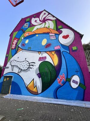 Foto 19 uit All Caps Muurschilderingen Beverwaard 2026