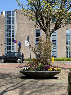 Foto 482 uit Rondje Beverwaard 2026