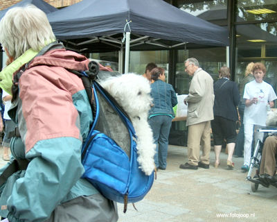 Foto 146 uit 15_06 susannadijk