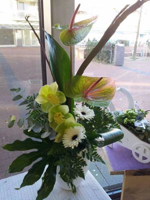 Foto 344 uit NeelyshaBloemen