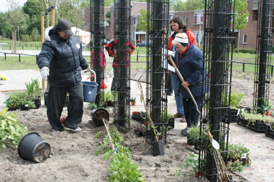 Foto 9 uit Tropische Buurttuin