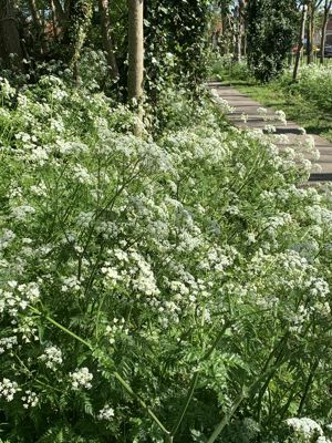 Foto 18 uit Lente En Zomer 2022