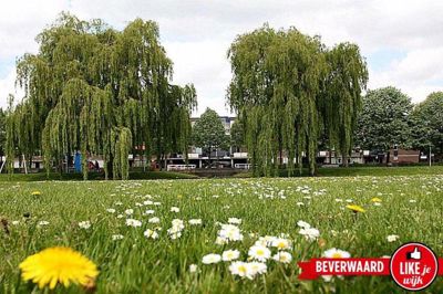 Foto 78 uit LIKEJEWIJK-2016