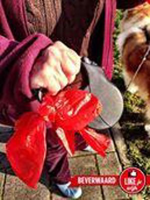 Foto 510 uit LIKEJEWIJK FOTO'S_2