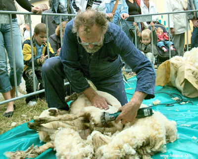 Foto 50 uit Paardenmarkt new07