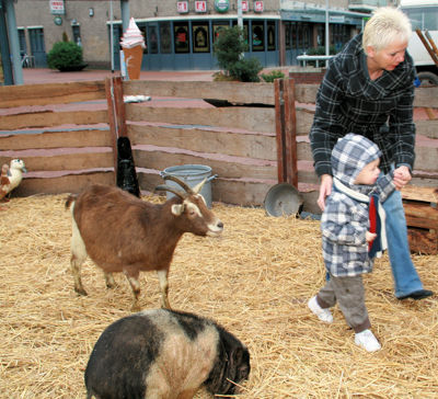 Foto 41 uit Sinterklaas 2009B.W