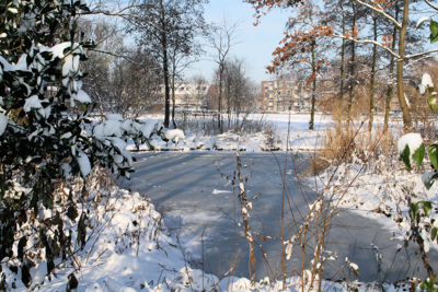 Foto 19 uit SneeuwBeverwaard10