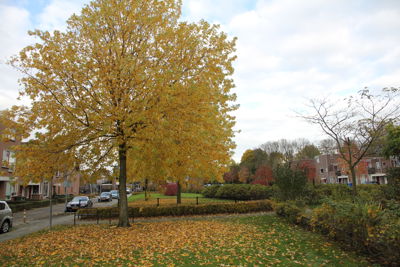 Foto 142 uit Herfst In Beverwaard