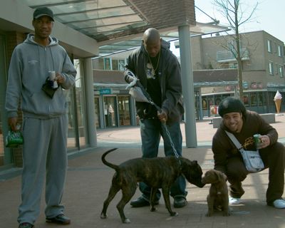 Foto 8 uit Jeugd Beverwaard new