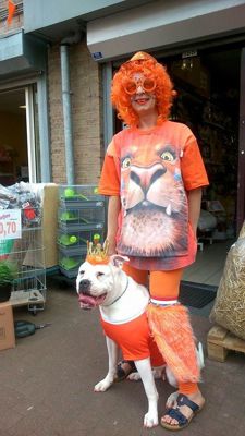 Foto 54 uit OranjeInBeverwaard