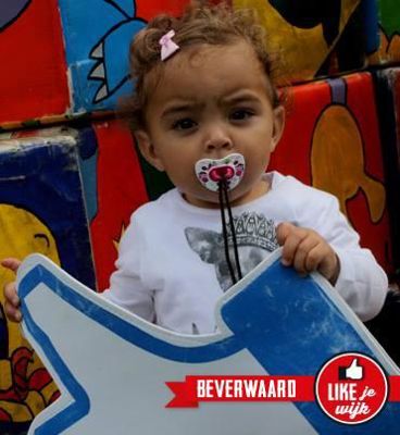 Foto 231 uit LIKEJEWIJK FOTO'S