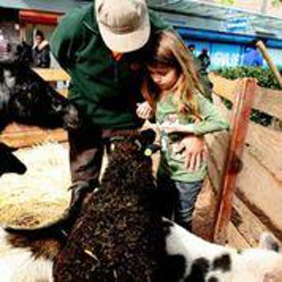 Foto 20 uit LikeJeWijkfeest14-9