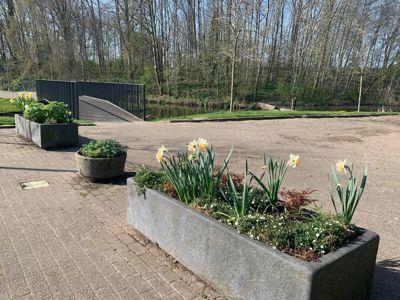 Foto 201 uit Rondje Beverwaard 2026