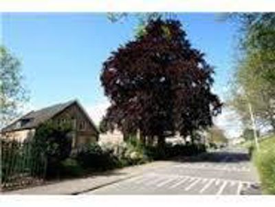 Foto 256 uit SloopEnOpbouwWIJK