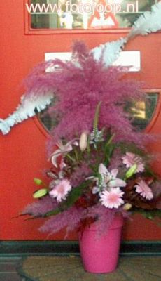 Foto 52 uit streetlife5324opening