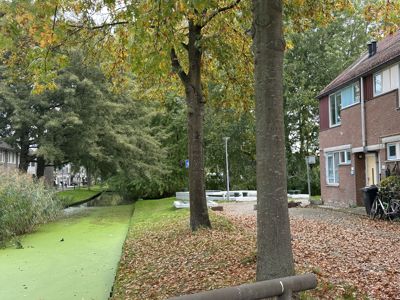Foto 38 uit X-Herfst Verschillende jaren  2026