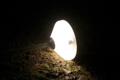 Foto 5 uit BruggenBeverwaard