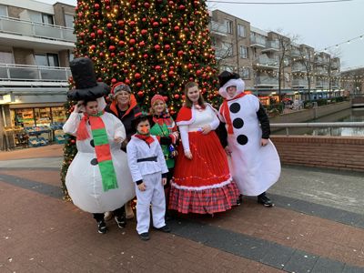 Foto 15 uit Grote Kerstboom WC