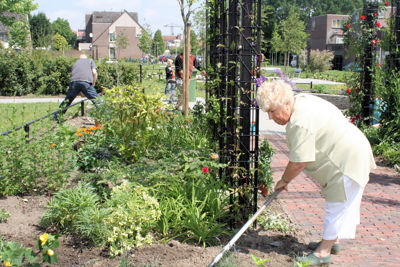 Foto 34 uit Tropische Tuin12_6