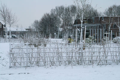 Foto 2 uit Kerst Beverwaard09