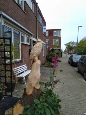 Foto 9 uit 2019 KunsT Arend