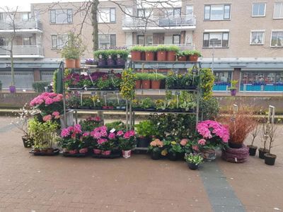 Foto 2 uit De Bloemenboetiek