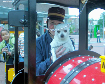 Foto 95 uit treintjebeverwaard07