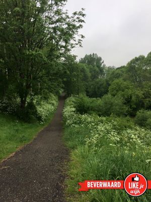 Foto 68 uit LIKEJEWIJK-2016