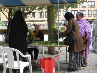 Foto 50 uit susannadijk vestia07