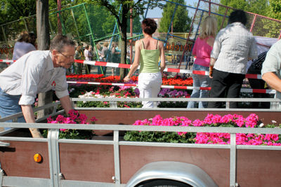 Foto 97 uit Opzoomeren20-05