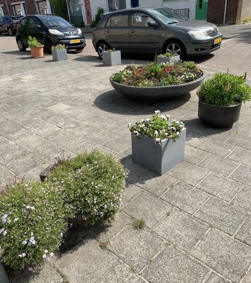 Foto 26 uit Lente En Zomer 2022