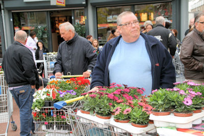 Foto 53 uit OpzoomerenPlantjes