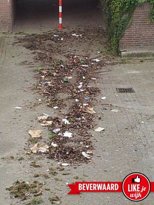 Foto 383 uit LIKEJEWIJK FOTO'S_2