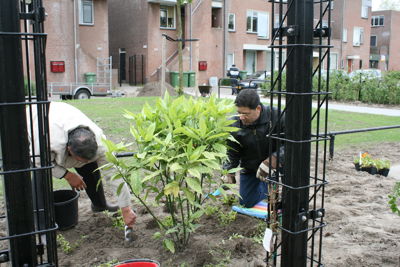 Foto 59 uit Tropische Buurttuin