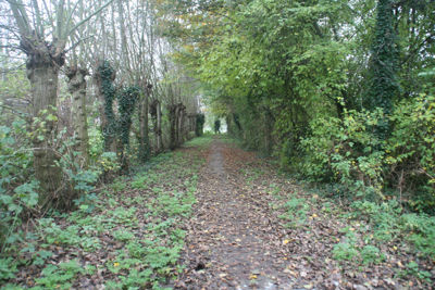 Foto 397 uit StratenBEVERWAARD