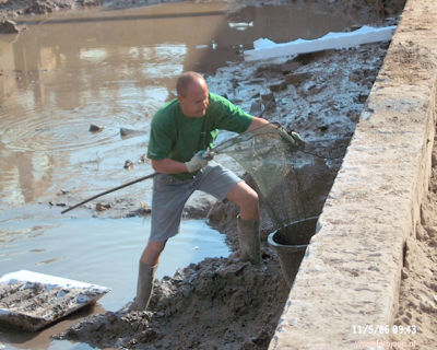 Foto 367 uit WcBeverwVerbouwing