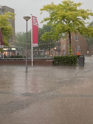 Foto 16 uit Banenmarkt19-5-22