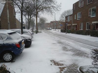 Foto 117 uit WinterIn Beverwaard