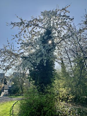 Foto 2 uit Lente En Zomer 2022