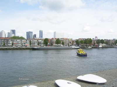 Foto 16 uit red bull air race r.dam