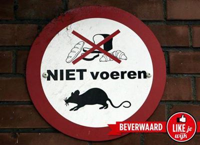 Foto 600 uit LIKEJEWIJK FOTO'S_2