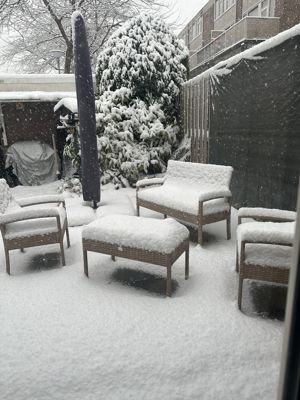 Foto 5 uit X- Sneeuw in de Beverwaard 2026