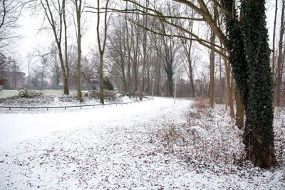 Foto 61 uit WinterIn Beverwaard