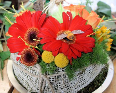 Foto 84 uit Rkregenboog25_3_09