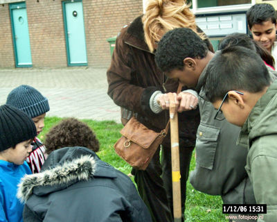 Foto 123 uit bloembollen planten