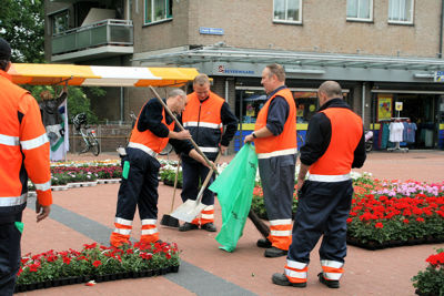 Foto 20 uit OpzoomerenPlantjes