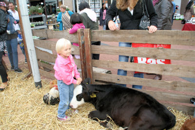 Foto 94 uit WijkFeest15_09_2012