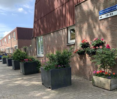 Foto 103 uit Rondje Beverwaard 2026