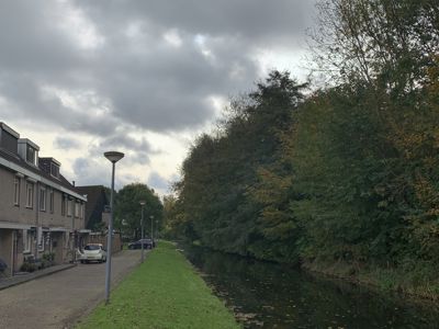 Foto 447 uit Rondje Beverwaard 2026