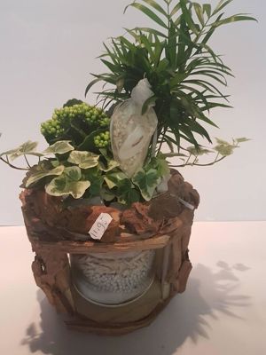 Foto 216 uit NeelyshaBloemen